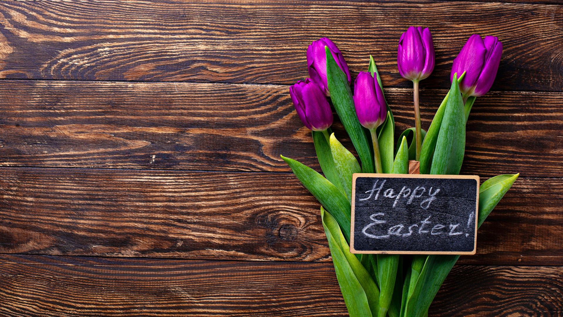 Easter festive background with tulip flowers