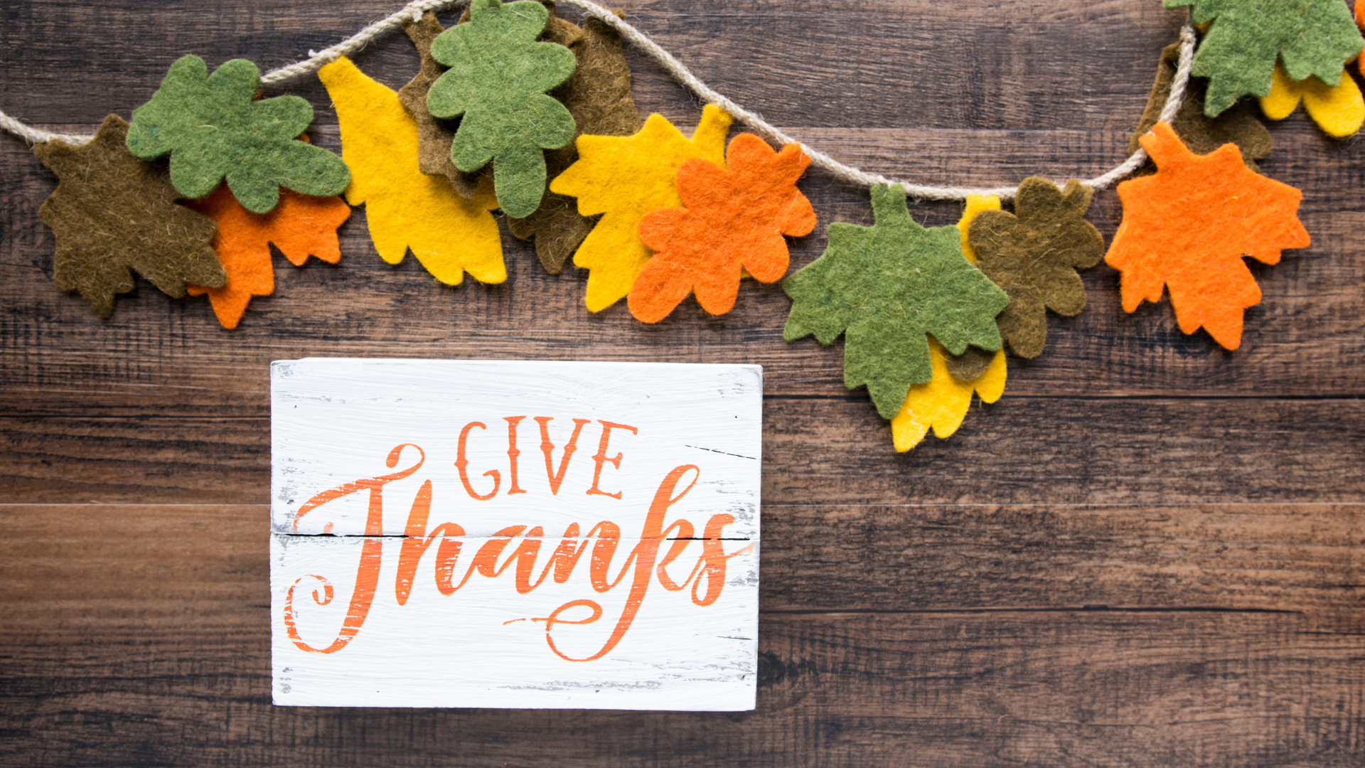 Minimal Autumn Thanksgiving Flat Lay with velvet green, orange, and yellow leaves on a dark hard wood table.